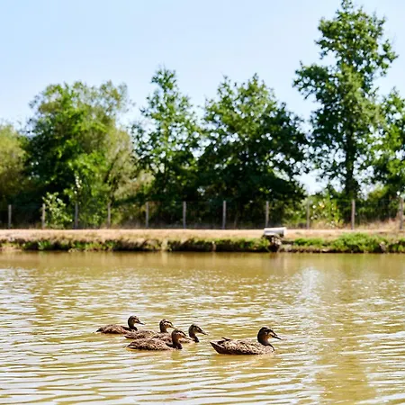 Glamping Vendee Οργανωμένο κάμπινγκ Saint-Julien-des-Landes