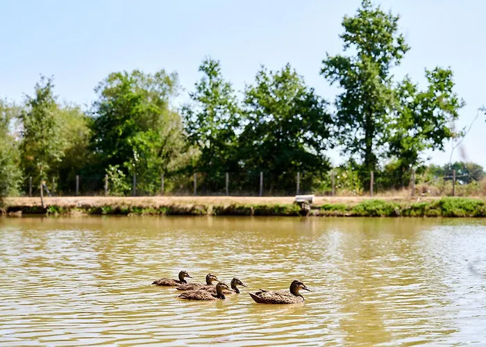 Glamping Vendee Luxuszelt Saint-Julien-des-Landes